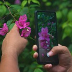 Woman photographing bougainvillea flowers with her phone, holding a branch with one hand—capturing nature details as part of a mindful summer art activity for presence and stress relief.