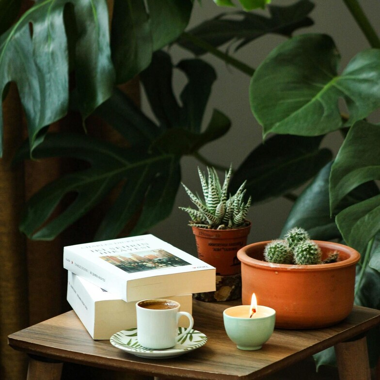 Books, succulent plants, coffee and a candles representing a calm inviting space for in-person therapy.