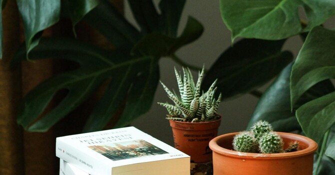 Coming Soon: In-Person Psychotherapy & Art Therapy in North York image