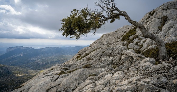 What Is Resilience, Really? (And What It Isn’t)